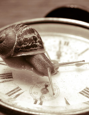 SPECTACLE : "Lentement mais sûrement"